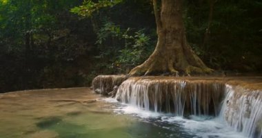 jungle şelale KADEMELI Nehri
