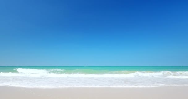 Mořské pobřeží v slunečný letní den — Stock video