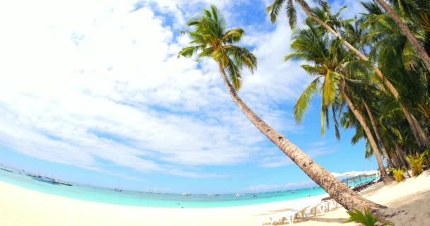 Resort costeiro com palmeiras e praia arenosa — Vídeo de Stock