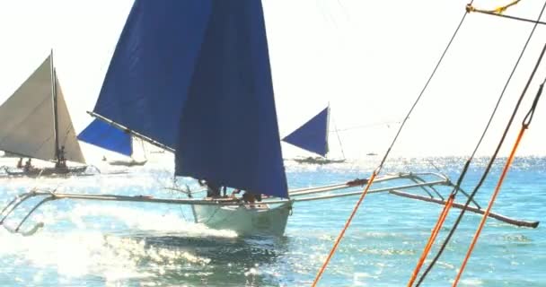 Bela cena marinha de barcos à vela que retornam à costa do mar da ilha tropical — Vídeo de Stock