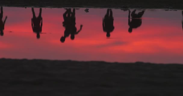 Silhouettes of people playing ball on river shore reflecting in water at sunset — Stock Video