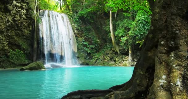 Bosque selvático con hermosa cascada — Vídeo de stock