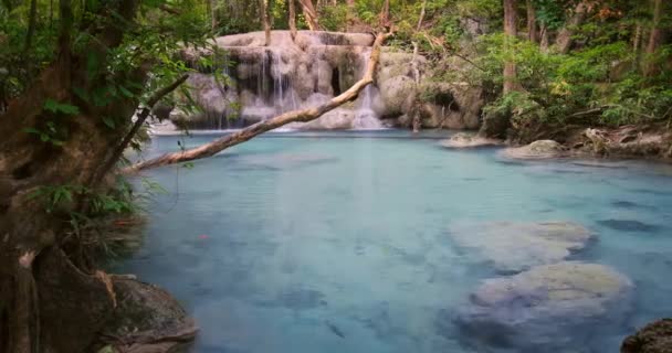 Estanque con agua turquesa transparente — Vídeo de stock