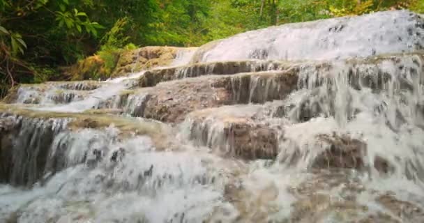 Речной водопад, протекающий через лес — стоковое видео