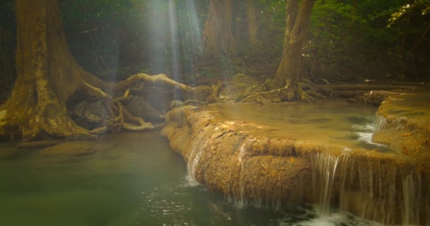 Raggi di luce del sole brillano attraverso i rami degli alberi . — Video Stock