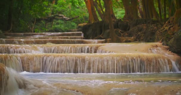 Cascatas e pequenas cachoeiras na floresta tropical — Vídeo de Stock