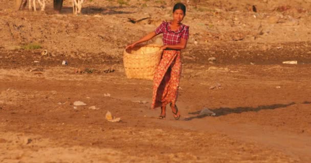 Barmská žena z místní vesnice nosí tradiční proutěný koš podél řeky — Stock video
