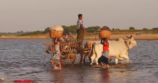 Los aldeanos birmanos cruzan el río poco profundo al atardecer. Las hembras jóvenes llevan cestas — Vídeos de Stock