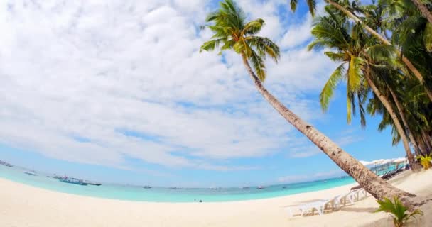 Playa de arena de resort tropical — Vídeo de stock