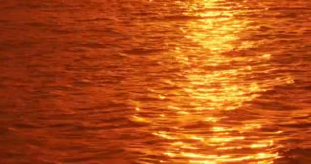 Ondas de agua reflejando la luz del sol al atardecer — Vídeos de Stock
