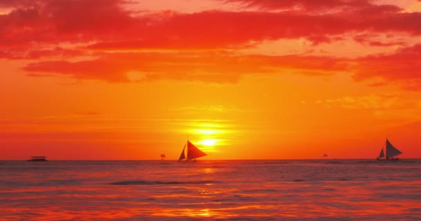 Sailing boats moving on horizon at sunset — Stock Video