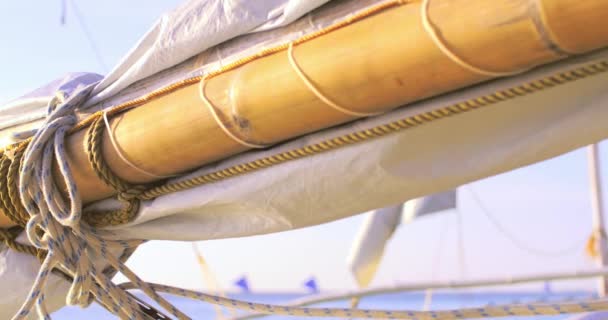 Små segel båt yacht — Stockvideo