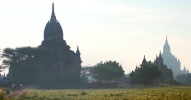 Bagan tapınakları ve bullock sepeti çiftlik yoluyla kırsal ülke yolda gidiyor