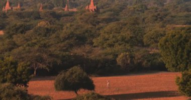 Kırsal Myanmar Bagan tarihi sitenin havadan panoramik görünümü (Burma)