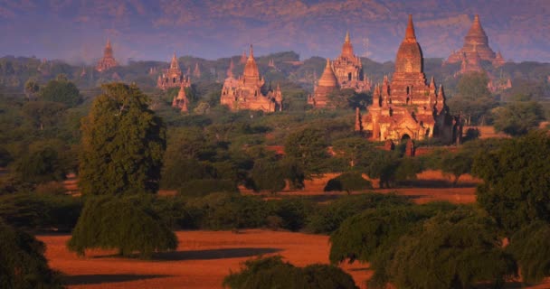 Templos de Bagan y pagodas budistas — Vídeo de stock