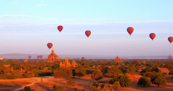 Globos aéreos vuelan sobre antiguos templos de Bagan — Vídeo de stock