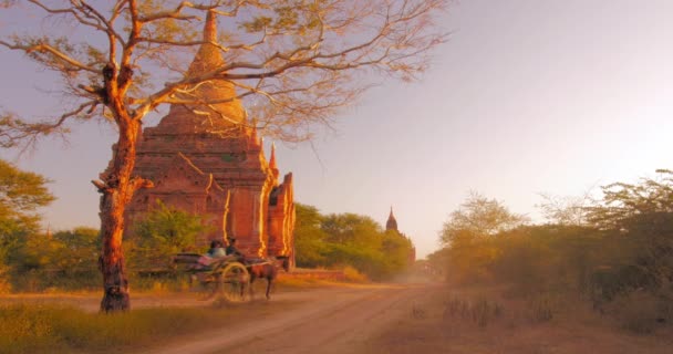 Equitazione turistica su carretto a cavallo in Bagan Myanmar (Birmania) su strada rurale di campagna — Video Stock