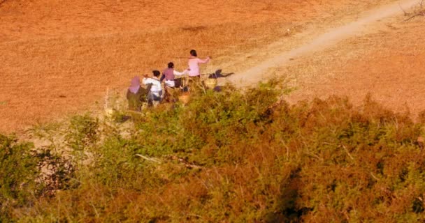 Birmese vrouwtjes dragen rieten manden op stoffige weg op het platteland van Manmar — Stockvideo