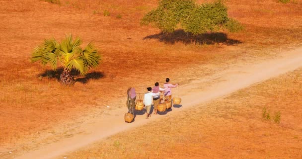 Vrouwelijke boeren op landweg van het platteland Myanmar (Birma) in de buurt van Bagan — Stockvideo