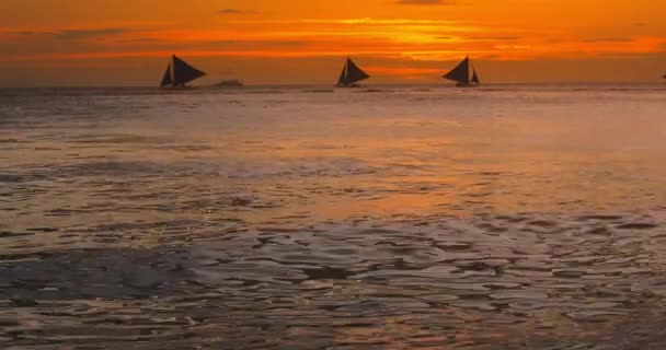 Sail boats on the sea — Stock Video