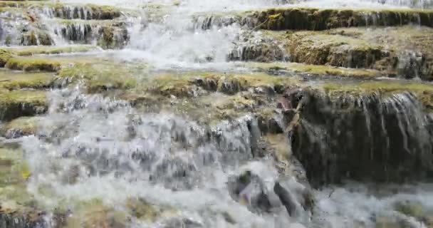 Arroyo de agua dulce — Vídeo de stock