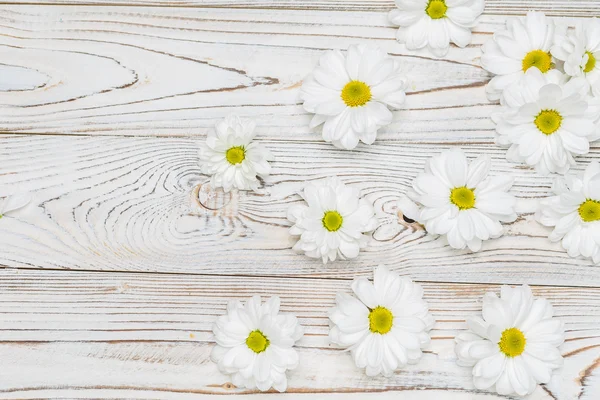 Flores brancas em fundo de madeira — Fotografia de Stock