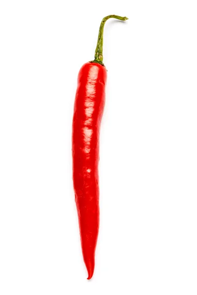 Na białym tle papryka chili — Zdjęcie stockowe