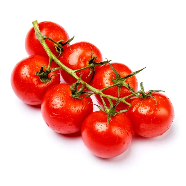 Сливовые помидоры на белом фоне — стоковое фото