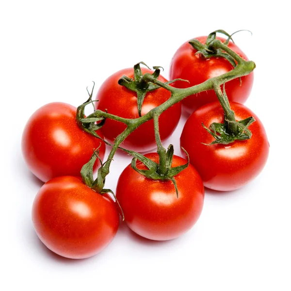 Pomidory z liści na białym tle — Zdjęcie stockowe