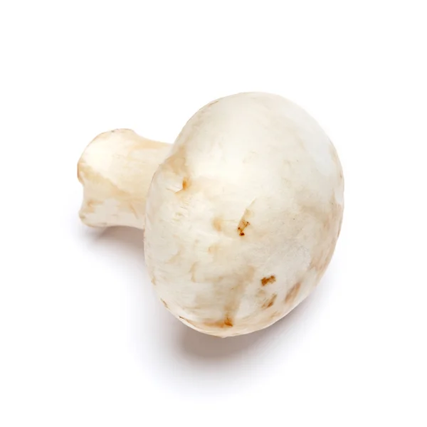 Шампиньон гриб изолирован на белом — стоковое фото