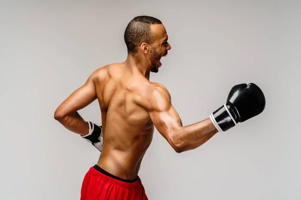 Confiado joven boxeador africano en guantes de boxeo de pie sobre fondo gris claro — Foto de Stock