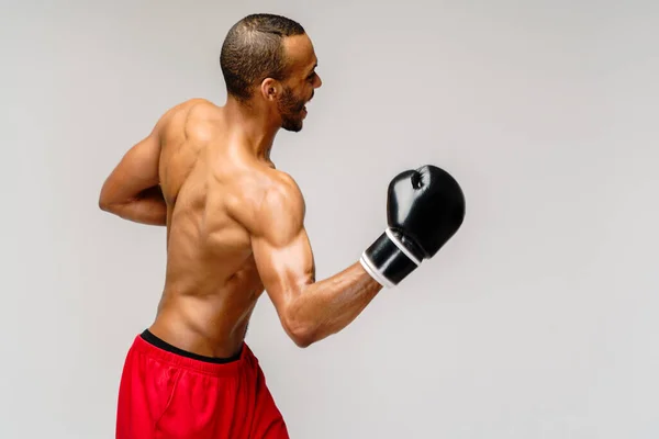 Confiado joven boxeador africano en guantes de boxeo de pie sobre fondo gris claro — Foto de Stock