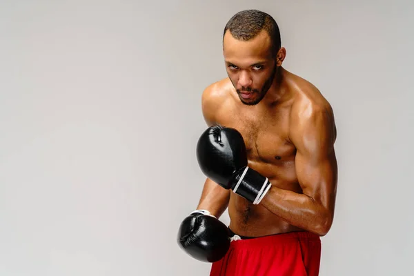 Confiado joven boxeador africano en guantes de boxeo de pie sobre fondo gris claro — Foto de Stock