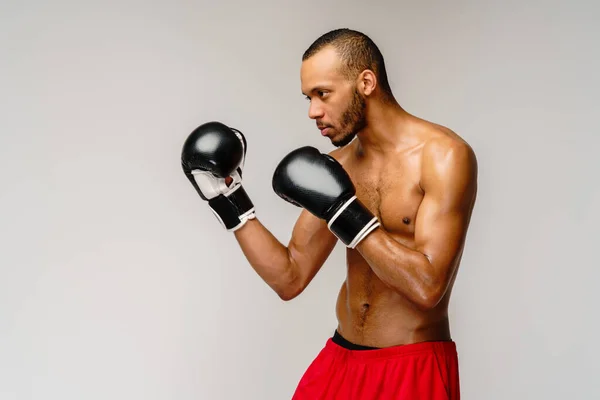 Confiado joven boxeador africano en guantes de boxeo de pie sobre fondo gris claro — Foto de Stock