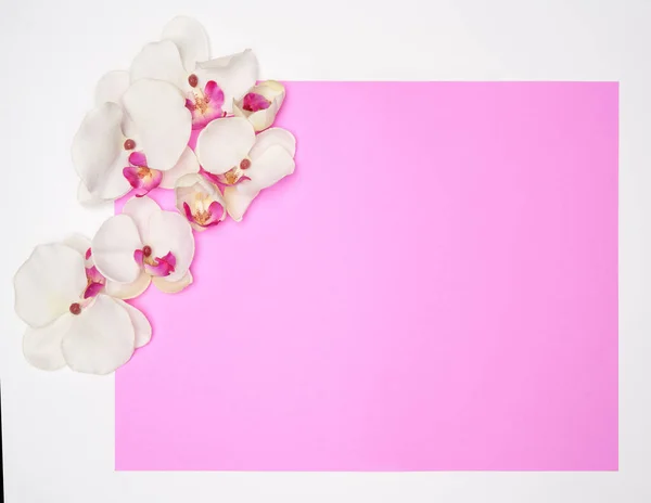 Moldura vazia com flores no fundo pastel rosa com espaço de cópia — Fotografia de Stock