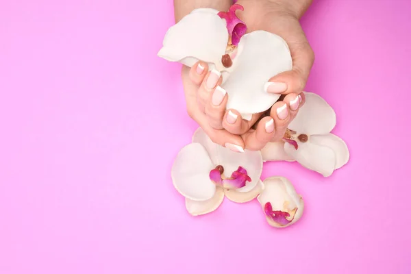 Красивые женские руки с французским маникюром на розовом фоне — стоковое фото