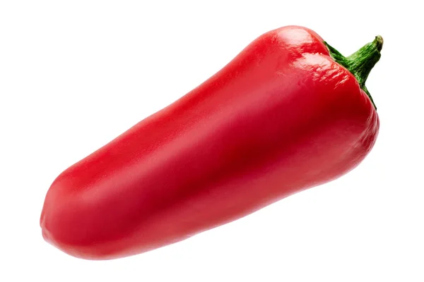 Chili of paprika geïsoleerd op witte achtergrond — Stockfoto