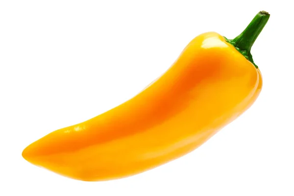 Chili oder Paprika isoliert auf weißem Hintergrund — Stockfoto