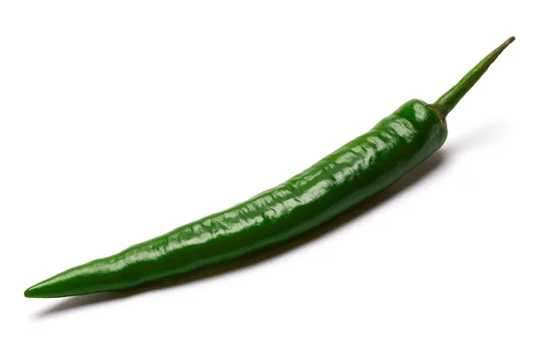 Chili of paprika geïsoleerd op witte achtergrond — Stockfoto