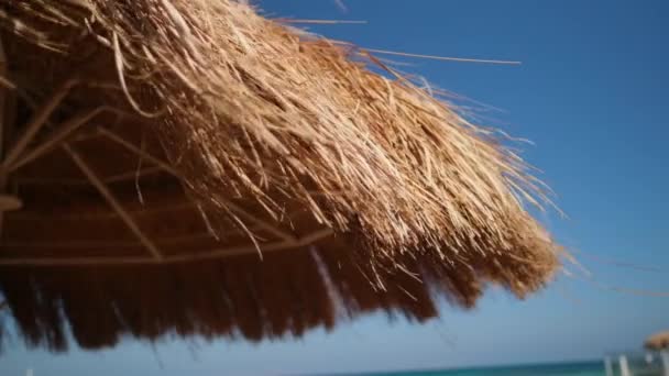 Ett halmparaply på en vacker strand — Stockvideo