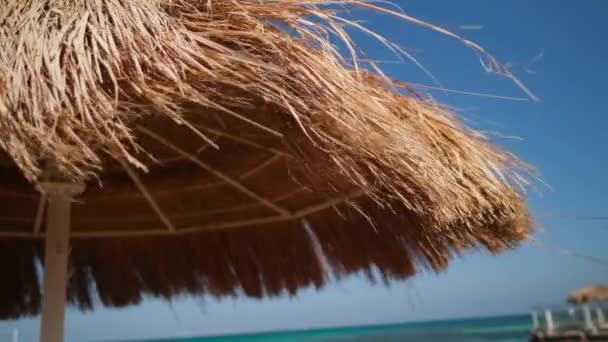 美しいビーチにあるわら傘 — ストック動画