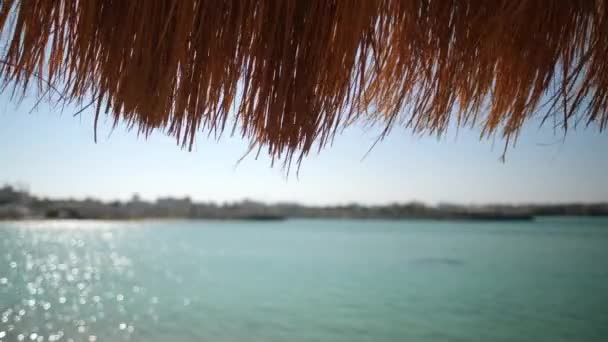 Een stroparasol op een prachtig strand — Stockvideo