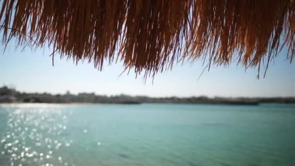 Ein Strohschirm an einem schönen Strand — Stockvideo