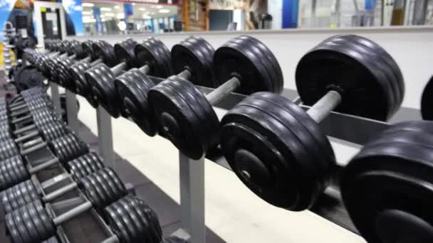 Rows of black dumbbells in the gym — Stock Video