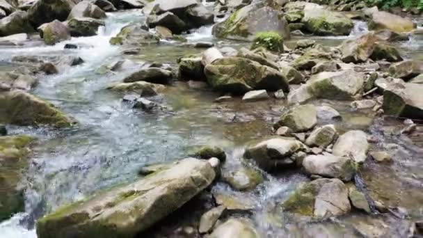 Berg rivier waterval stroomt tussen rotsachtige kusten in de Karpaten bergen, Oekraïne — Stockvideo