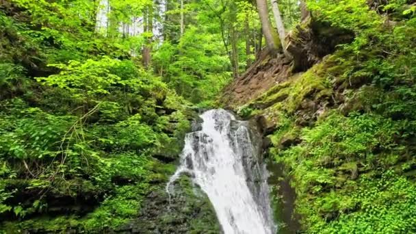 Berg rivier waterval stroomt tussen rotsachtige kusten in de Karpaten bergen, Oekraïne — Stockvideo