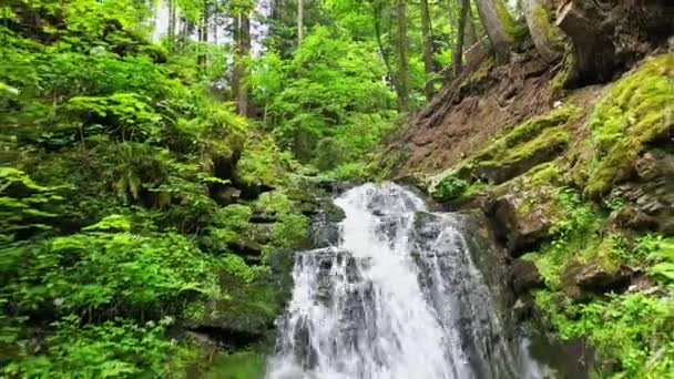 Berg rivier waterval stroomt tussen rotsachtige kusten in de Karpaten bergen, Oekraïne — Stockvideo