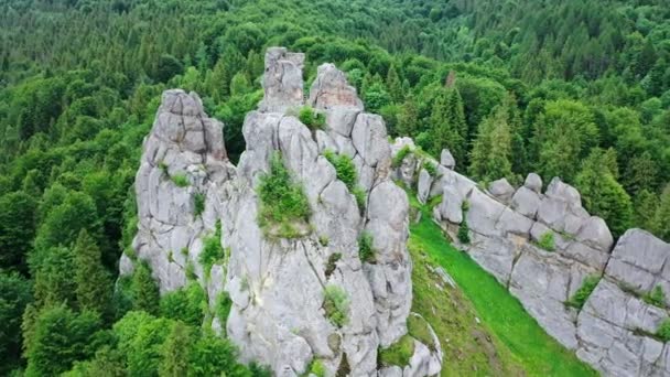 Aerial drone view of famous Ukrainian medieval cliff-side Tustan fortress ruins — 비디오