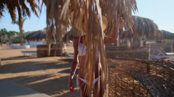 海滩上穿着比基尼的性感女人站在稻草遮阳伞下 — 图库视频影像