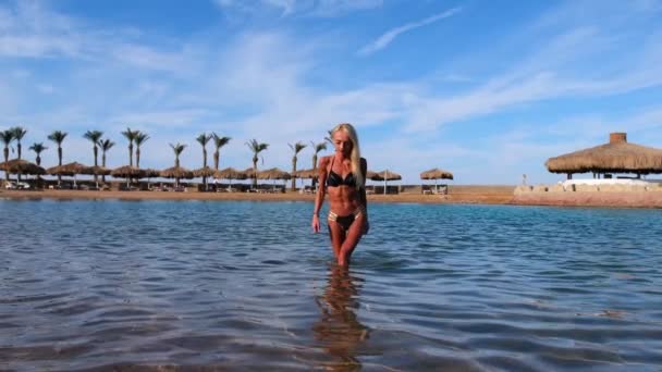 Mladá módní žena stojící ve vodě na pláži — Stock video